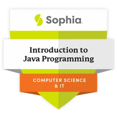 Introduction to Java Programming (CS1101) badge