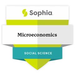 Microeconomics (ECON1002) badge